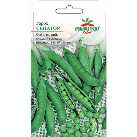 Горох Сенатор Седек Ц
