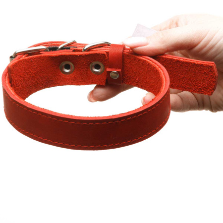 Ошейник кожаный двойной ширина 25 мм длина 50 см