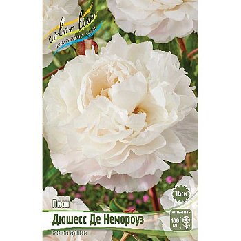 Пион Дюшесс Де Немороуз 2/3 n 1 шт 