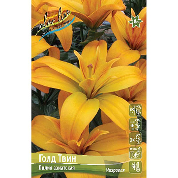 Лилия Голд Твин 12/14 25 шт Биг-пак 10086