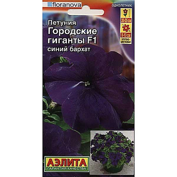 Петуния Городские гиганты синий бархат Аэлита Ц 