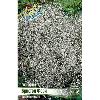 8377 Биг-Пак Гипсофила Бристол Фери I 25 шт 