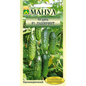 Огурец Лабиринт Манул Ц