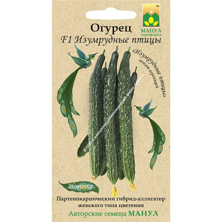 Огурец Изумрудные птицы Манул