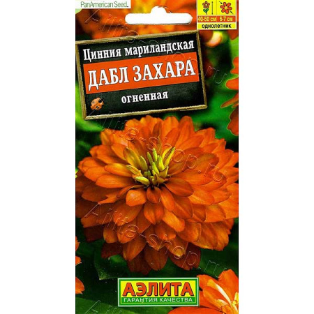 Циния Дабл Захара огненная Аэлита Цх10 
