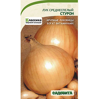 Лук Стурон 0,5гр Садовита Ц