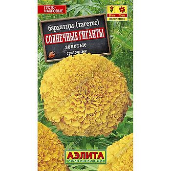 Бархатцы Солнечные гиганты золотые  Аэлита Ц 