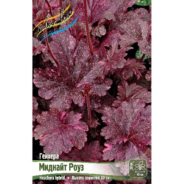 Гейхера Миднайт Роуз I 25 шт Биг-пак 944