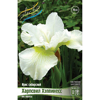 Ирис Сибирский Харпсвил Хэппинесс I 25 шт Биг-пак 4146
