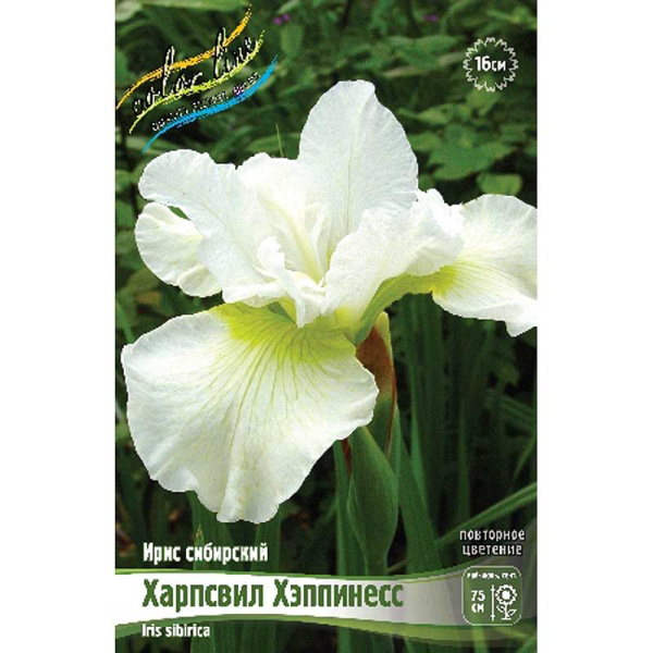 Ирис Сибирский Харпсвил Хэппинесс I 25 шт Биг-пак 4146