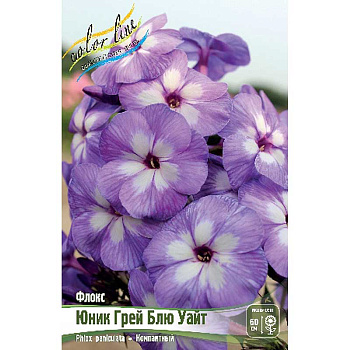 5999 Биг-Пак Флокс Юник Грей Блю Уайт I 25 шт