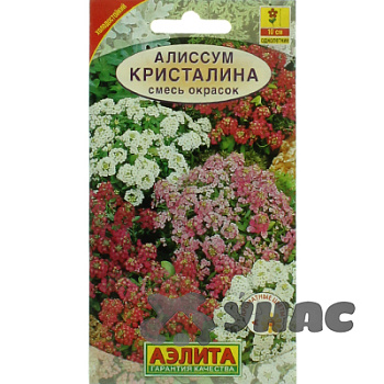 Алиссум Кристалина  Аэлита Ц 