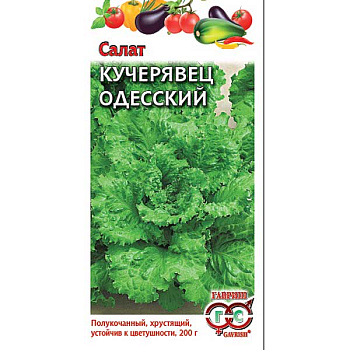 Салат Одесский кучерявец Гавриш Ц