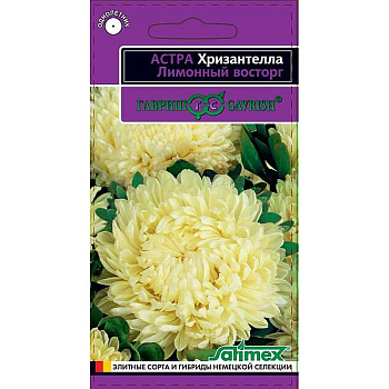 Астра Хризантелла Лимонный восторг Гавриш Ц 