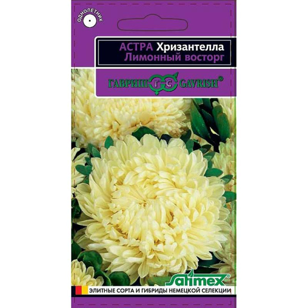 Астра Хризантелла Лимонный восторг Гавриш Ц 