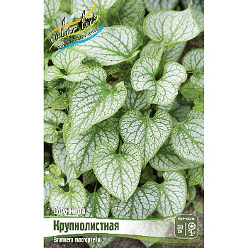 Бруннера Крупнолистная I 25 шт Биг-Пак 16272