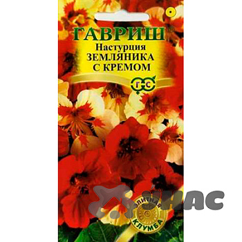 Настурция Земляника с кремом Гавриш Ц 