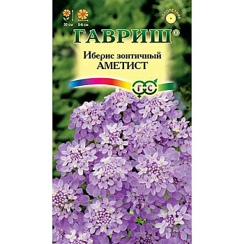 Иберис Аметист Гавриш Ц 