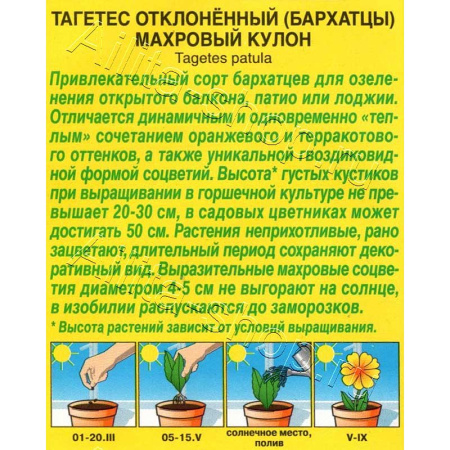 Бархатцы Махровый кулон отклоненные Аэлита Цх10 