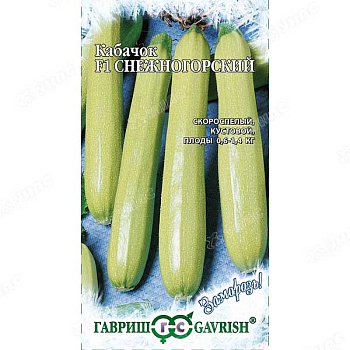 Кабачок Снежногорский Гавриш Ц