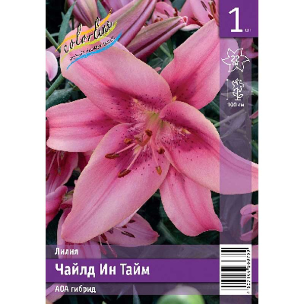 Лилия Чайлд Ин Тайм 12/14 1 Эконом шт 