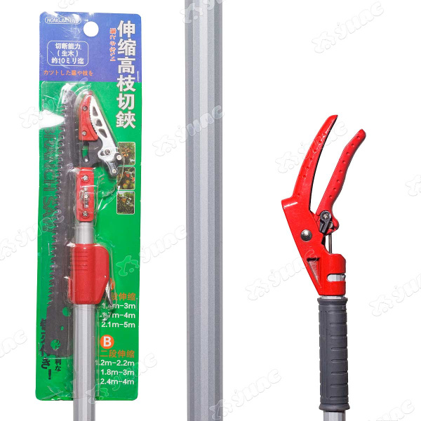 Кусторез (HD5740) с телескопической ручкой 3 м