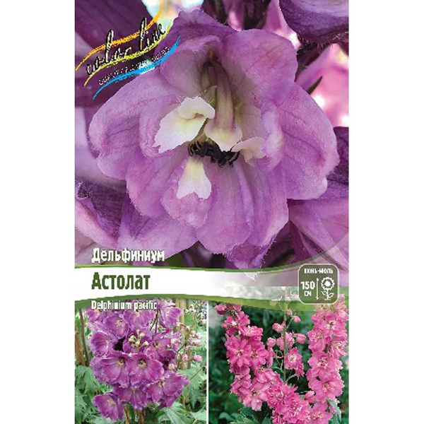 16435 Биг-Пак Дельфиниум Астолат 3/5 n 25 шт 