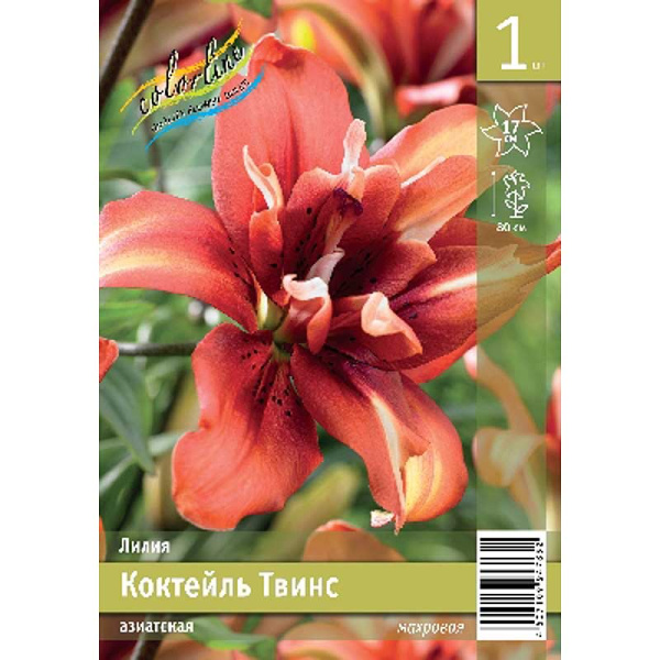Лилия Коктейль Твинс 12/14 1 Эконом шт 