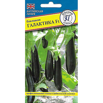 Баклажан Галактика Престиж Ц