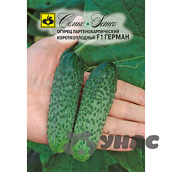 Огурец Герман Семко Ц