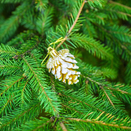 Шар 6DC6-H32-2 6шт 6см "Шишка" золото с белой каймой (360)