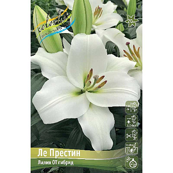 Лилия Ле Престин 14/16 5 шт 