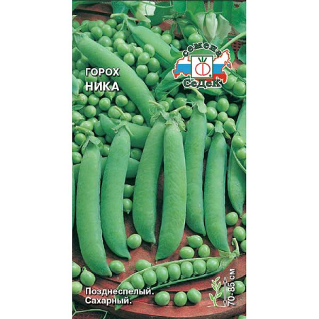 Горох Ника Седек Ц