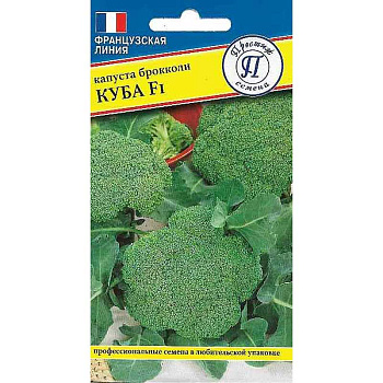 Капуста брокколи Куба Престиж Ц