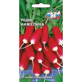 Редис Анжелика Седек Ц