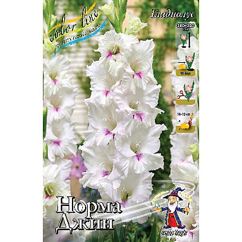 Гладиолус Норма Джин 10/12 100 шт Шоу-бокс 9601