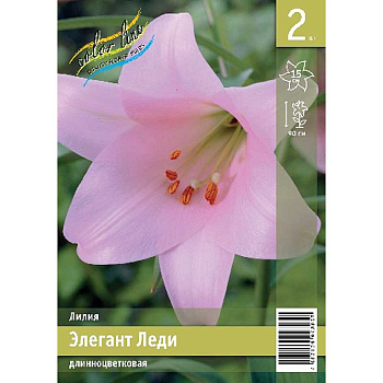Лилия Элегант Леди 12/14 2 Эконом шт 