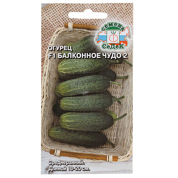 Огурец Балконное чудо 2 Седек