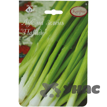 Лук на зелень Параде 0,7г (Нидерланды) Каприс