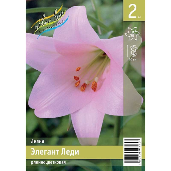 Лилия Элегант Леди 12/14 2 Эконом шт 