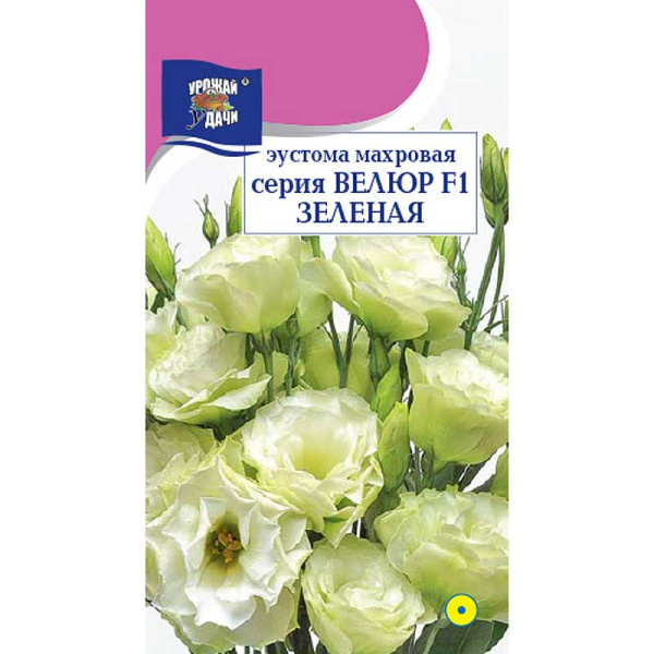 Эустома Велюр Зеленая махр Урожай у дачи Ц 