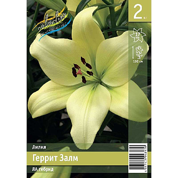 Лилия Геррит Залм 12/14 2 Эконом шт