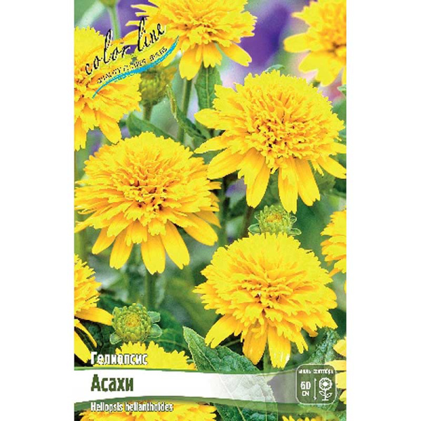 8372 Биг-Пак Гелиопсис Асахи I 25 шт