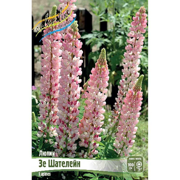 Люпин Зе Шателейн I 3 шт