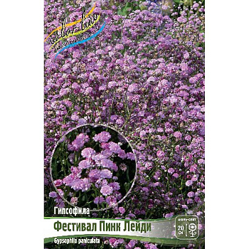 Гипсофила Фестивал Пинк Лейди I 1 шт