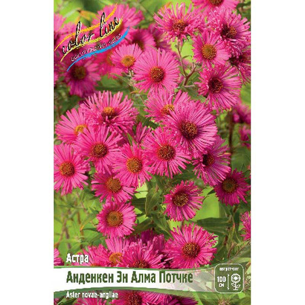 824 Биг-Пак Астра Анденкен Эн Алма Потчке I 25 шт