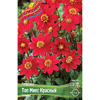 Георгина Топ Микс Красный I 1 шт