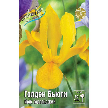 Ирис Голл. Голден Бьюти 7/8 10 шт