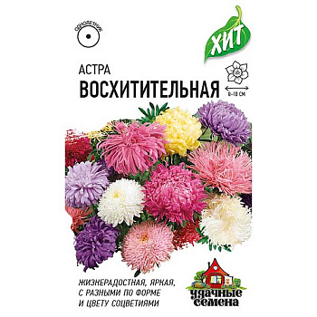 Астра Восхитительная смесь (метал) Гавриш Ц 