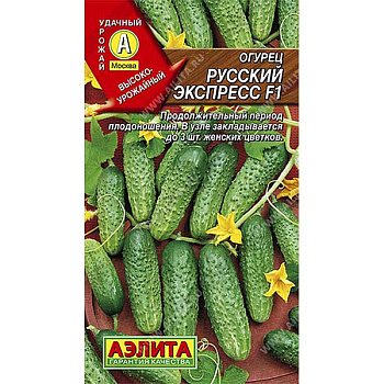 Огурец Русский экспресс Аэлита Ц